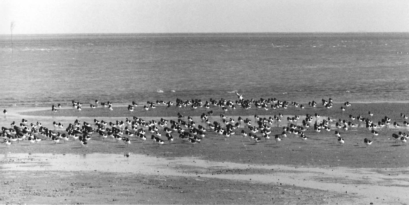 2001_05.jpg (97232 Byte)