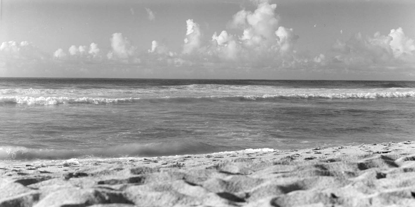 2001_08.jpg (70542 Byte)