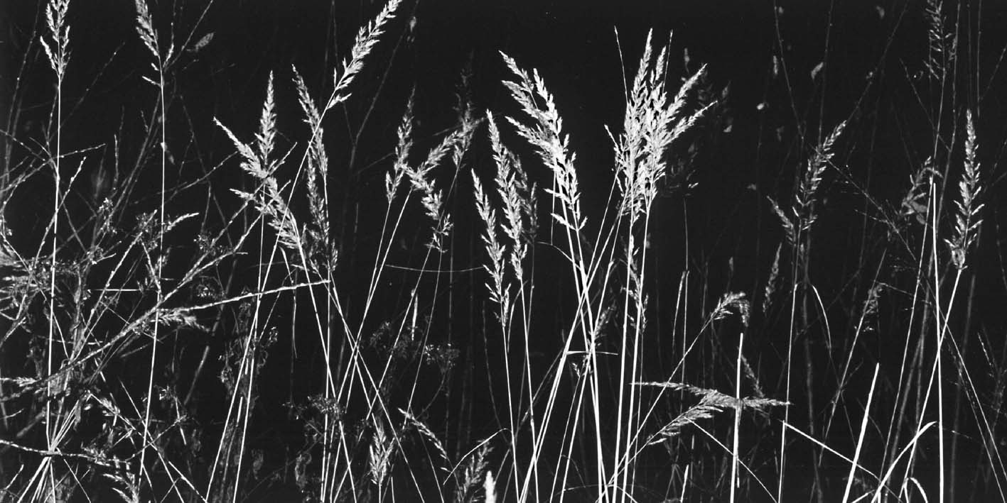 2001_09.jpg (131367 Byte)