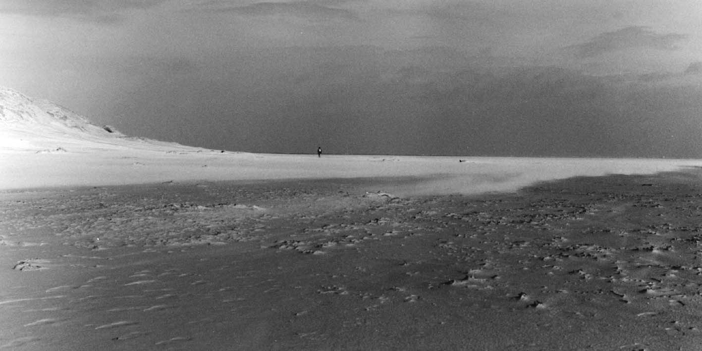 2001_14.jpg (73868 Byte)