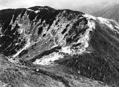 2001_Karkl.jpg (18816 Byte)