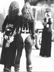 wgt01.jpg (13148 Byte)