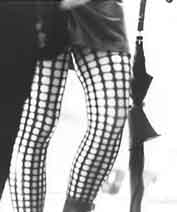 wgt02.jpg (12506 Byte)